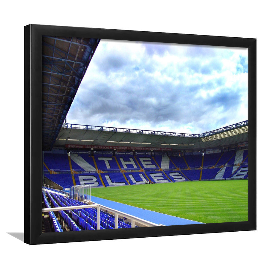 Birmingham City Stadium Art Prints St Andrews Stadium Wall Art,Sport Stadium Art Prints, Fan Gift, Wall Decor