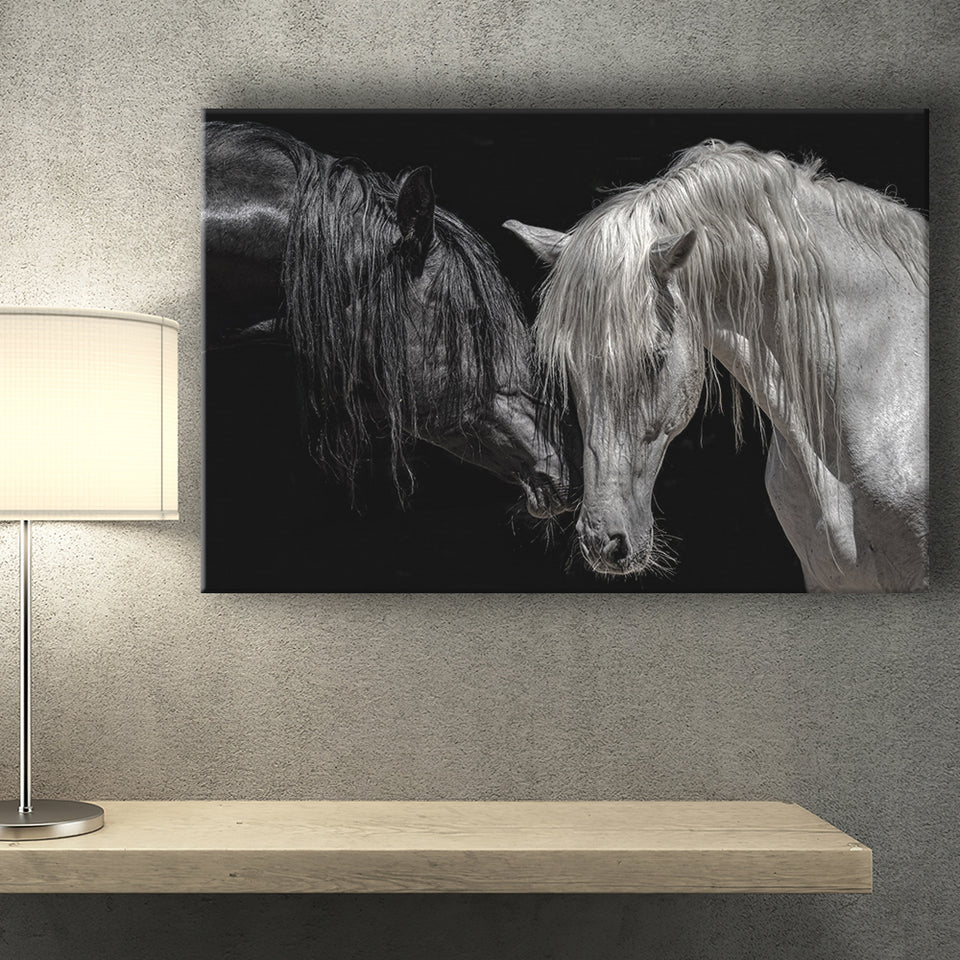 Black And White Horse, Horse Couple, Canvas Prints Wall Art Home Decor