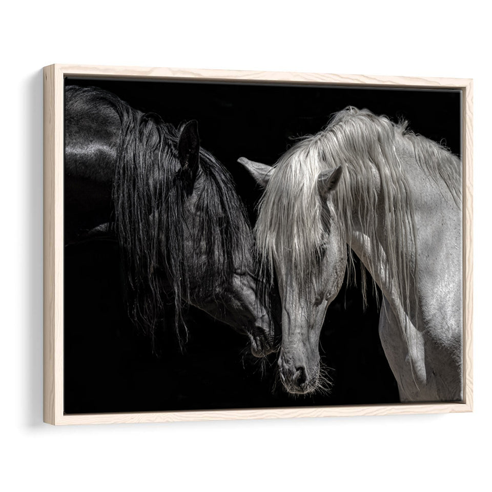 Black And White Horse, Horse Couple, Framed Canvas Prints Wall Art Home Decor,Floating Frame, Ready to Hang