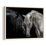 Black And White Horse, Horse Couple, Framed Canvas Prints Wall Art Home Decor,Floating Frame, Ready to Hang