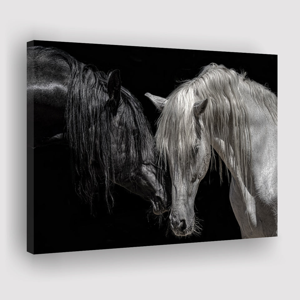 Black And White Horse, Horse Couple, Canvas Prints Wall Art Home Decor