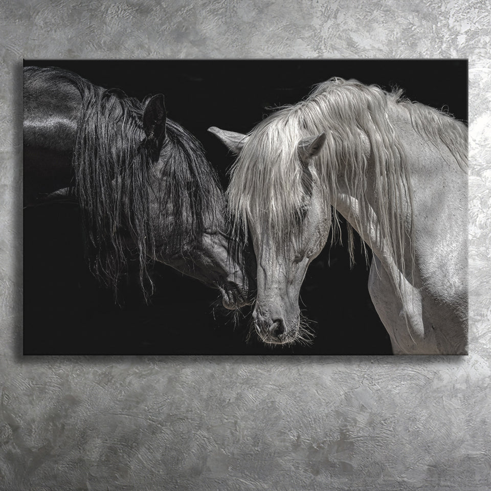 Black And White Horse, Horse Couple, Canvas Prints Wall Art Home Decor