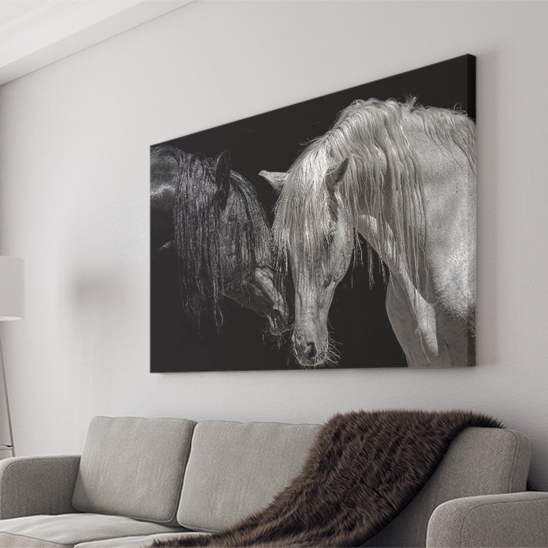 Black And White Horse, Horse Couple, Canvas Prints Wall Art Home Decor