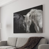 Black And White Horse, Horse Couple, Canvas Prints Wall Art Home Decor