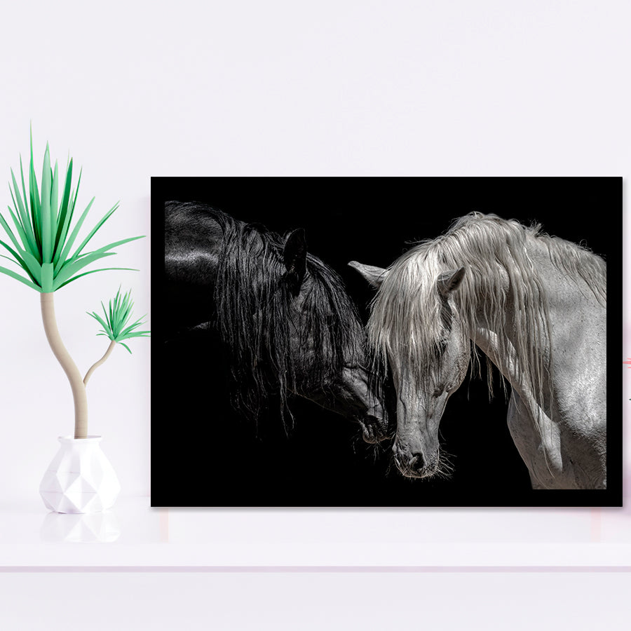 Black And White Horse, Horse Couple, Framed Art Prints Wall Art Home Decor, Ready to Hang