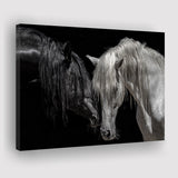 Black And White Horse, Horse Couple, Canvas Prints Wall Art Home Decor