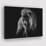 Black And White Lion, Lion Wall Art, Canvas Prints Wall Art Home Decor