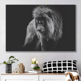 Black And White Lion, Lion Wall Art, Canvas Prints Wall Art Home Decor