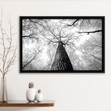 Black And White  Trees Art Framed Canvas Prints Wall Art Decor, Framed Picture, Floating Frame