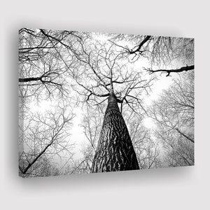 Black And White  Trees Art Canvas Prints Wall Art Decor - Painting Canvas,Home Decor, Ready to Hang