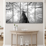 Black And White  Trees Art 5 Piece B Canvas Prints Wall Art, Multi Panels,Large Canvas