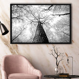 Black And White  Trees Art Framed Canvas Prints Wall Art Decor, Framed Picture, Floating Frame