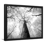 Black And White  Trees Art Framed Art Prints Wall Art Decor, Framed Picture, Home Decor