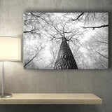 Black And White  Trees Art Canvas Prints Wall Art Decor - Painting Canvas,Home Decor, Ready to Hang