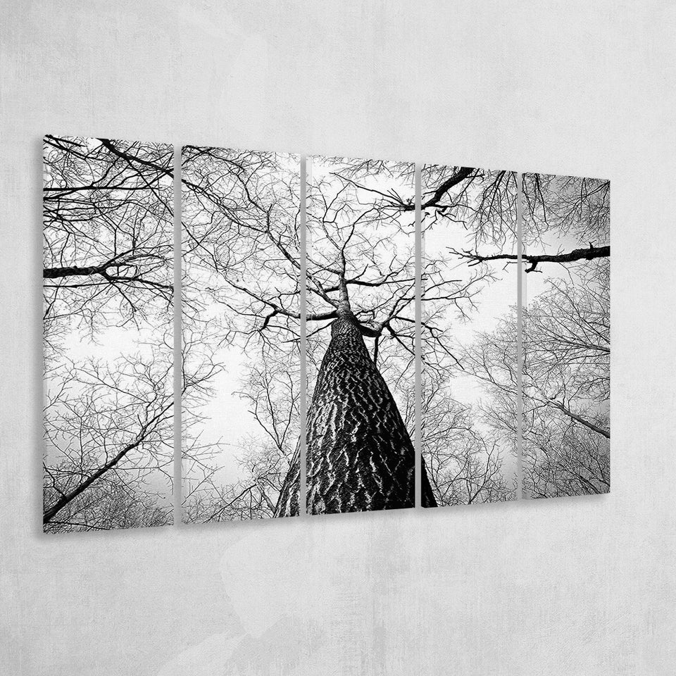 Black And White  Trees Art 5 Piece B Canvas Prints Wall Art, Multi Panels,Large Canvas