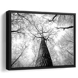 Black And White  Trees Art Framed Canvas Prints Wall Art Decor, Framed Picture, Floating Frame