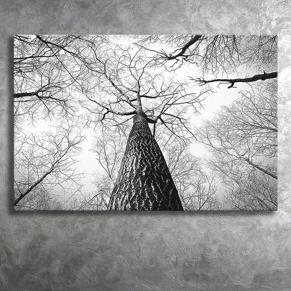 Black And White  Trees Art Canvas Prints Wall Art Decor - Painting Canvas,Home Decor, Ready to Hang