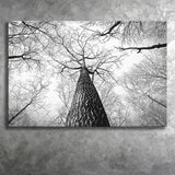 Black And White  Trees Art Canvas Prints Wall Art Decor - Painting Canvas,Home Decor, Ready to Hang