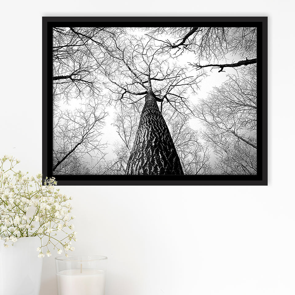 Black And White  Trees Art Framed Canvas Prints Wall Art Decor, Framed Picture, Floating Frame