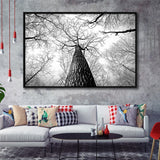 Black And White  Trees Art Framed Canvas Prints Wall Art Decor, Framed Picture, Floating Frame