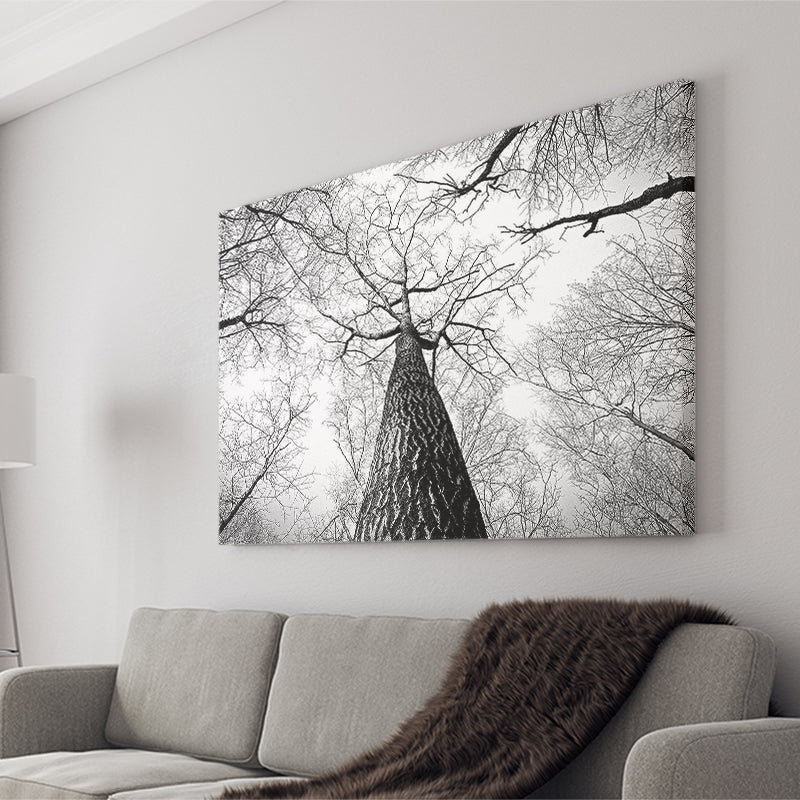 Black And White  Trees Art Canvas Prints Wall Art Decor - Painting Canvas,Home Decor, Ready to Hang