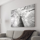 Black And White  Trees Art Canvas Prints Wall Art Decor - Painting Canvas,Home Decor, Ready to Hang