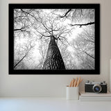 Black And White  Trees Art Framed Art Prints Wall Art Decor, Framed Picture, Home Decor