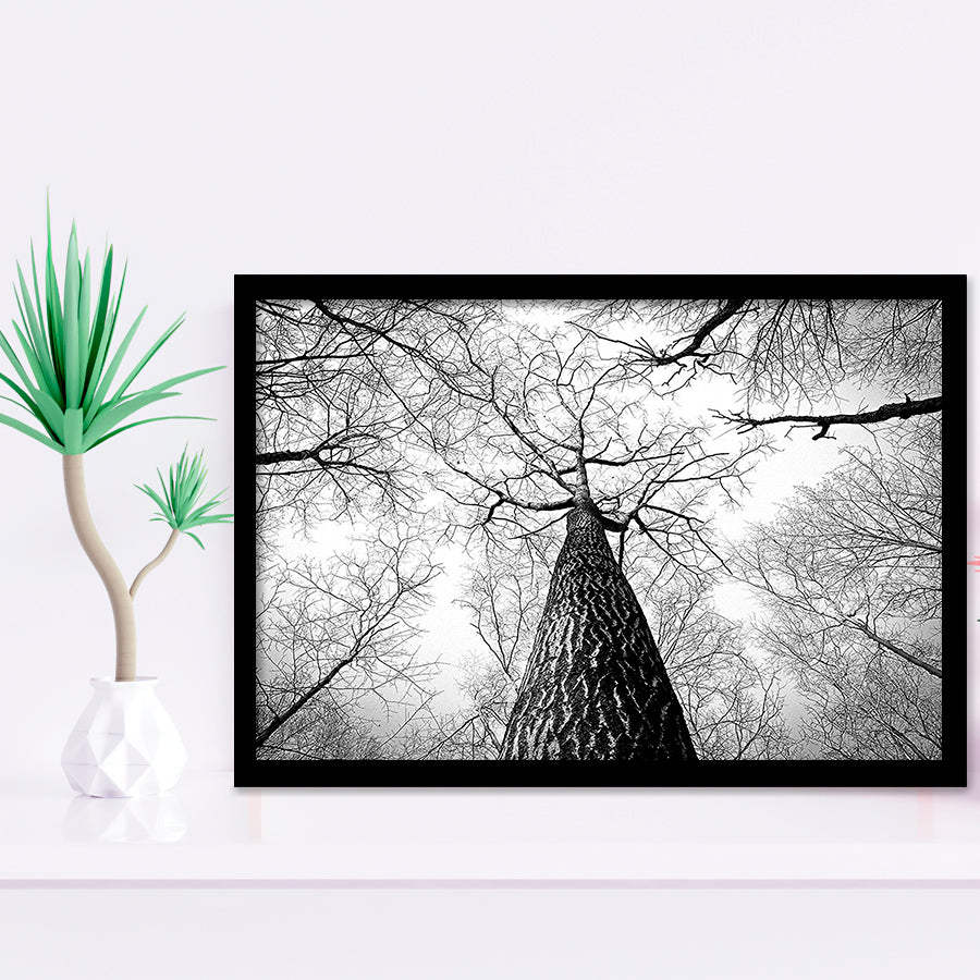 Black And White  Trees Art Framed Art Prints Wall Art Decor, Framed Picture, Home Decor