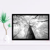 Black And White  Trees Art Framed Art Prints Wall Art Decor, Framed Picture, Home Decor