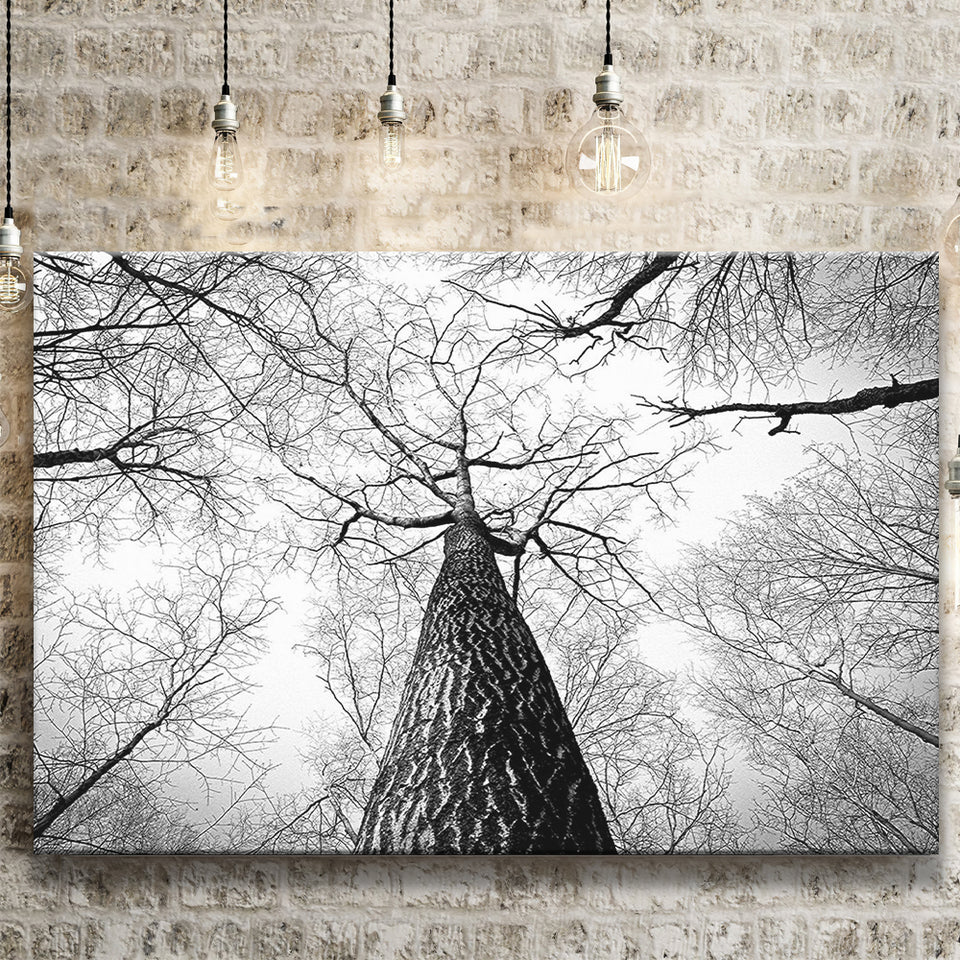 Black And White  Trees Art Canvas Prints Wall Art Decor - Painting Canvas,Home Decor, Ready to Hang