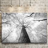 Black And White  Trees Art Canvas Prints Wall Art Decor - Painting Canvas,Home Decor, Ready to Hang
