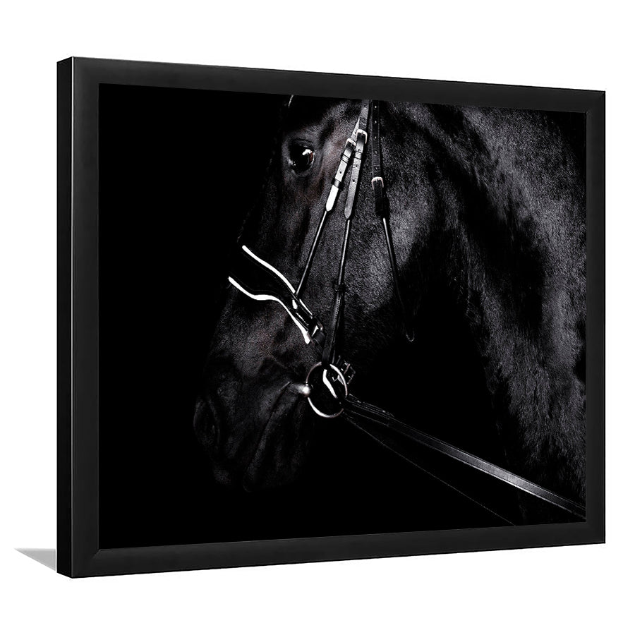 Black Horse Photo Framed Art Prints Wall Art Decor, Framed Picture, Home Decor