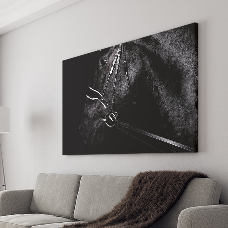 Black Horse Photo Canvas Prints Wall Art Decor - Painting Canvas,Home Decor, Ready to Hang