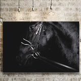 Black Horse Photo Canvas Prints Wall Art Decor - Painting Canvas,Home Decor, Ready to Hang