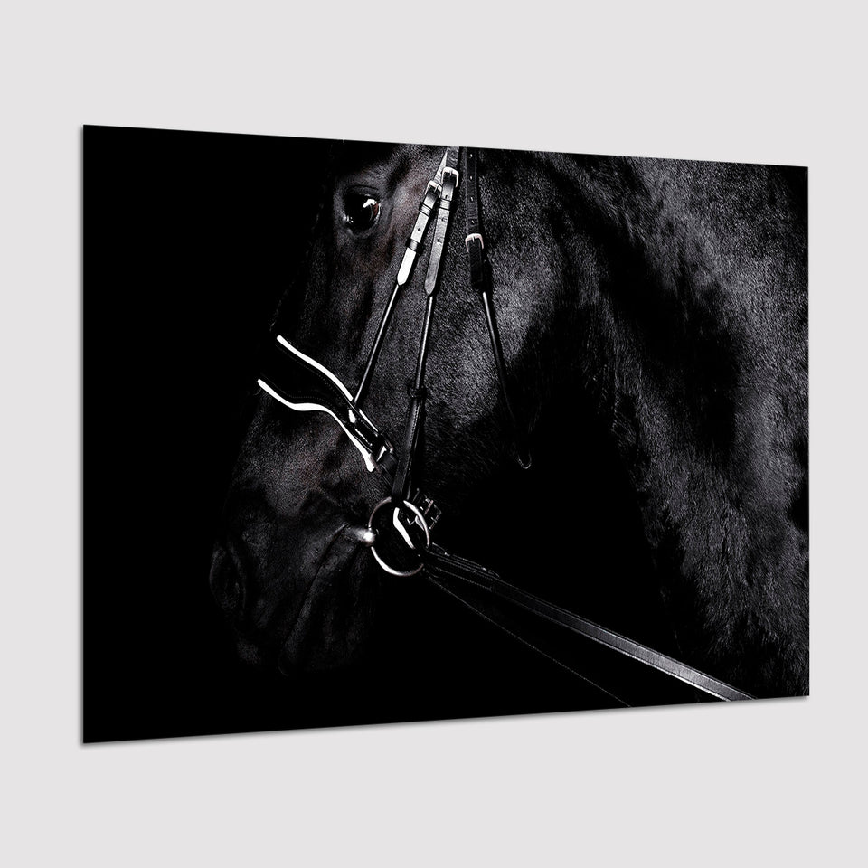 Black Horse Photo Poster Prints Wall Art Decor, Unframe, Poster Art