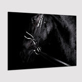 Black Horse Photo Poster Prints Wall Art Decor, Unframe, Poster Art