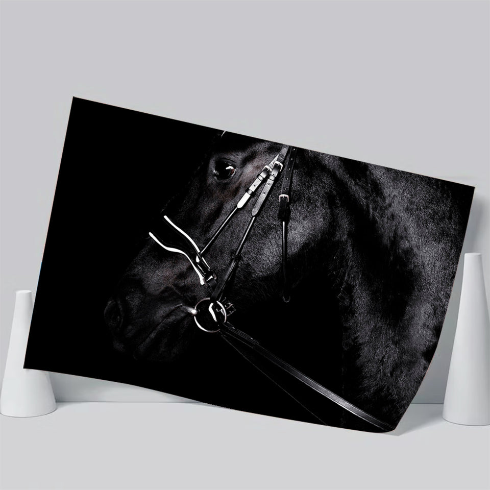 Black Horse Photo Poster Prints Wall Art Decor, Unframe, Poster Art