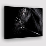 Black Horse Photo Canvas Prints Wall Art Decor - Painting Canvas,Home Decor, Ready to Hang
