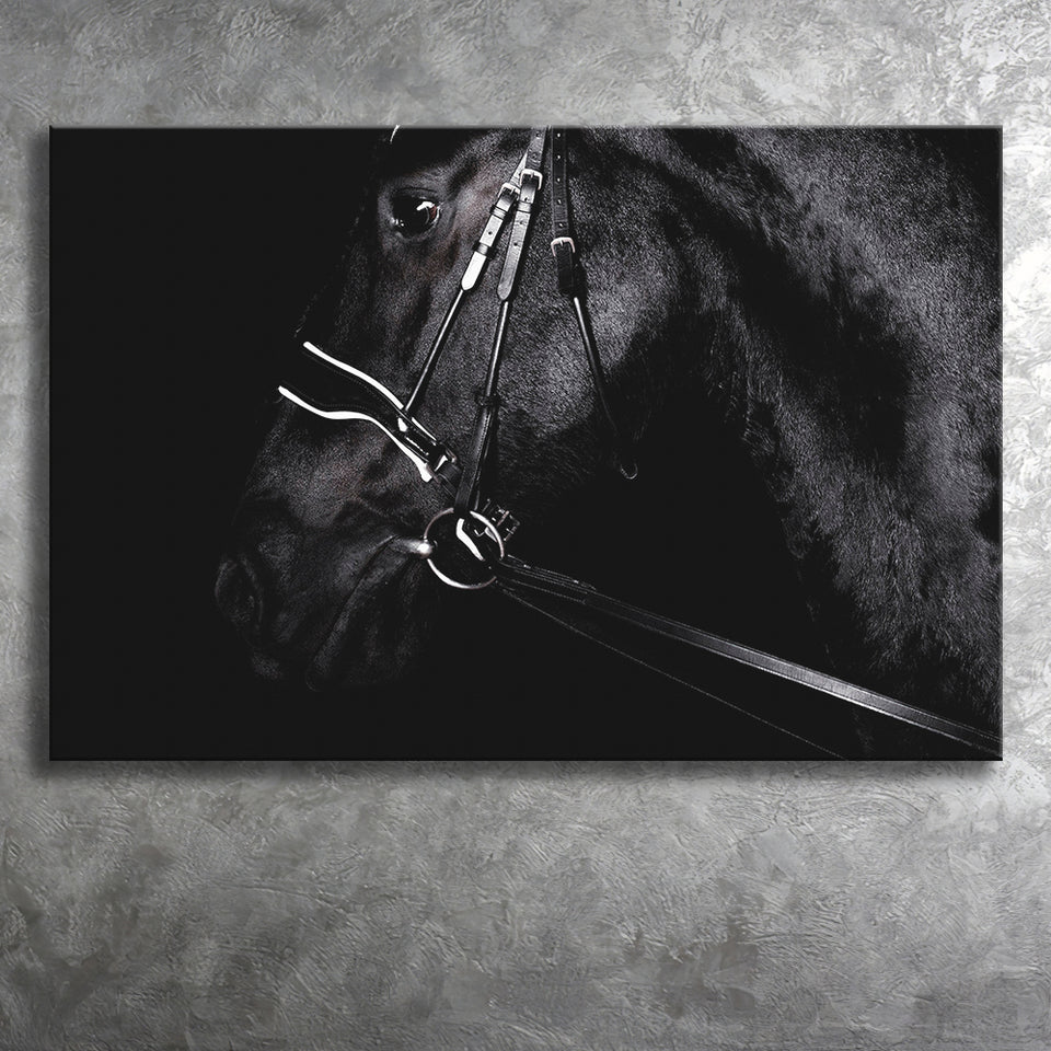 Black Horse Photo Canvas Prints Wall Art Decor - Painting Canvas,Home Decor, Ready to Hang