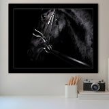Black Horse Photo Framed Art Prints Wall Art Decor, Framed Picture, Home Decor