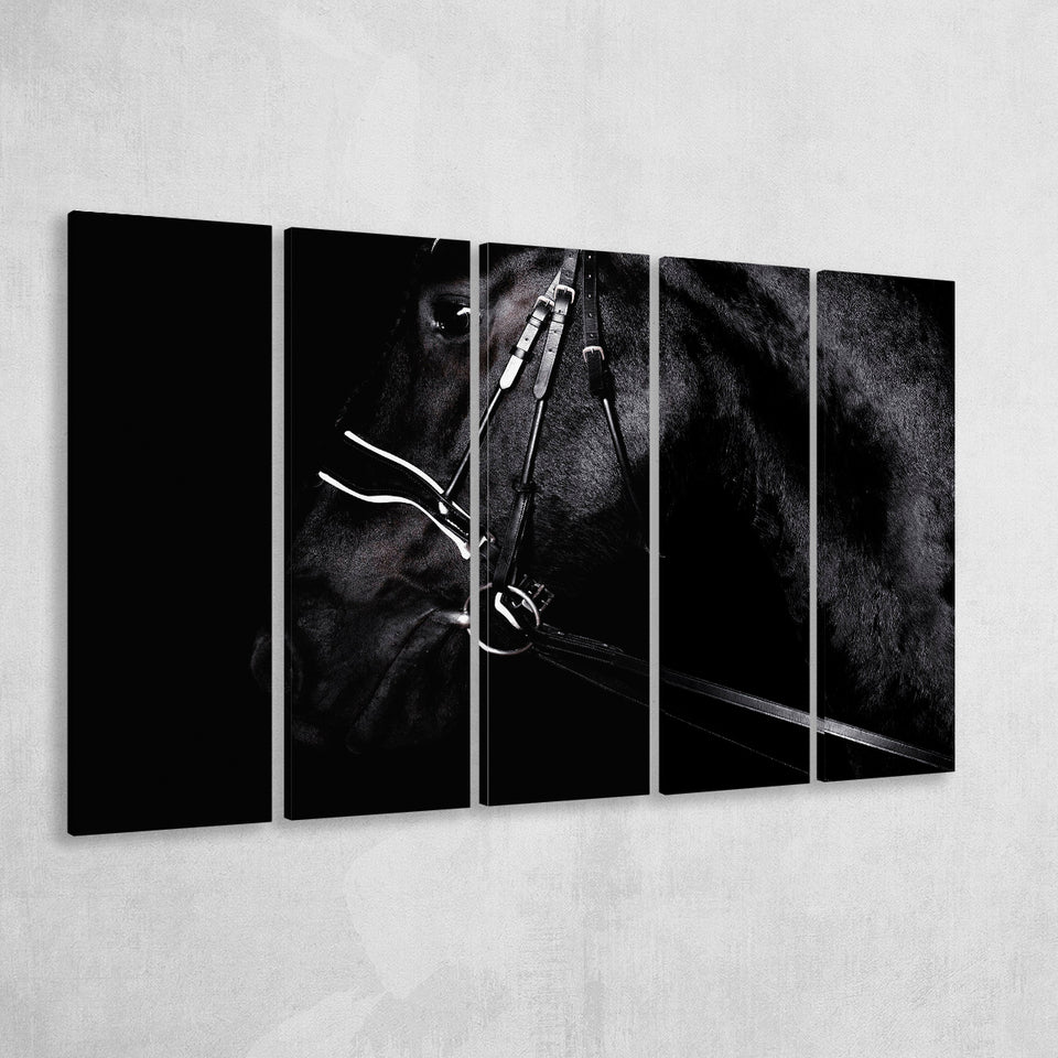 Black Horse Photo 5 Piece B Canvas Prints Wall Art, Multi Panels,Large Canvas