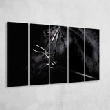 Black Horse Photo 5 Piece B Canvas Prints Wall Art, Multi Panels,Large Canvas