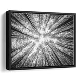 Black Tree Branches Framed Canvas Prints Wall Art Decor, Framed Picture, Floating Frame