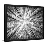 Black Tree Branches Extra Large Three Framed Art Prints Wall Decor - Painting Art,Framed Picture,For Sale, Ready to hang
