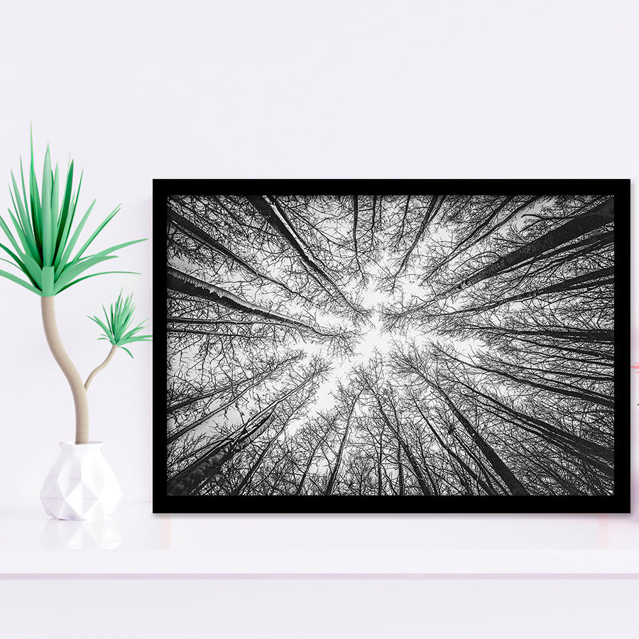 Black Tree Branches Extra Large Three Framed Art Prints Wall Decor - Painting Art,Framed Picture,For Sale, Ready to hang