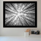 Black Tree Branches Framed Art Prints Wall Art Decor, Framed Picture, Home Decor