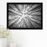 Black Tree Branches Framed Canvas Prints Wall Art Decor, Framed Picture, Floating Frame