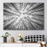 Black Tree Branches Canvas Prints Wall Art Decor - Painting Canvas,Home Decor, Ready to Hang