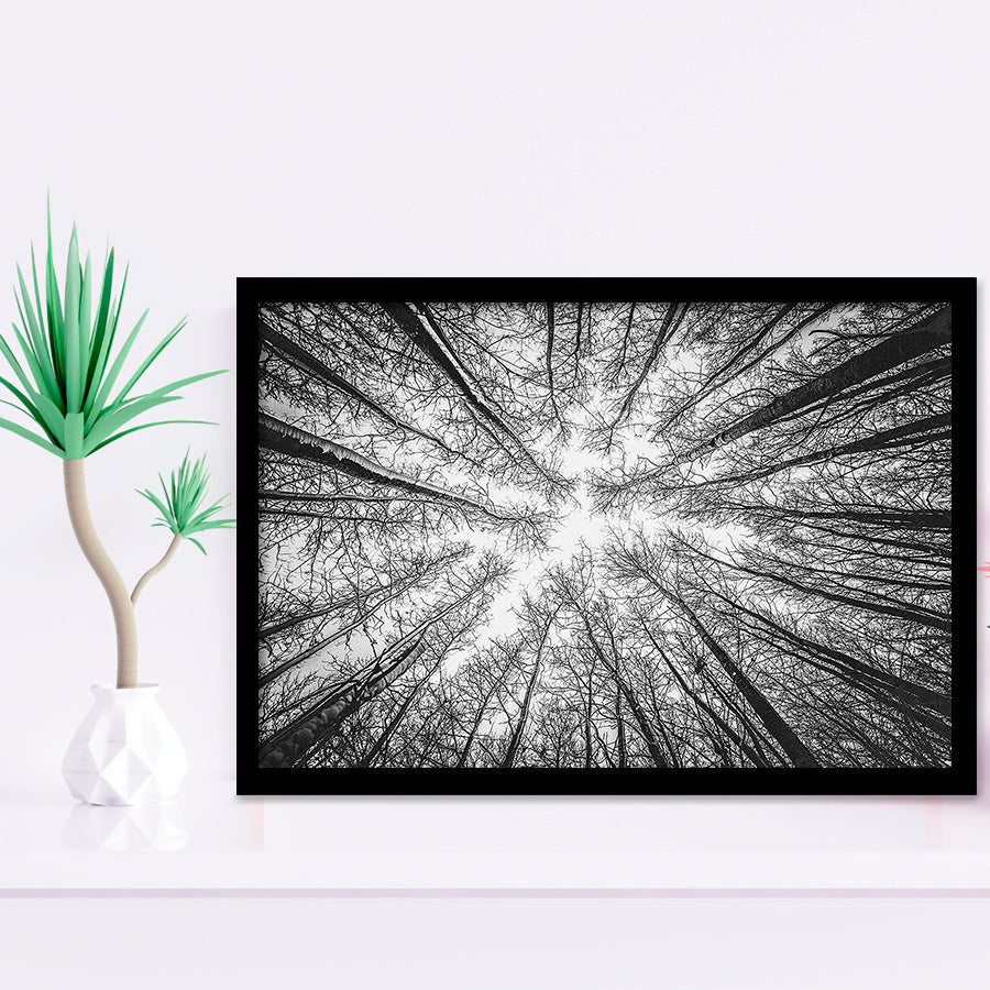 Black Tree Branches Framed Art Prints Wall Art Decor, Framed Picture, Home Decor