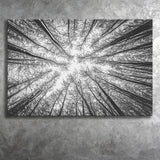 Black Tree Branches Canvas Prints Wall Art Decor - Painting Canvas,Home Decor, Ready to Hang